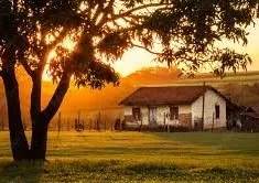 Avaliação de imóvel rural em Mato Grosso - laudo NBR 14653